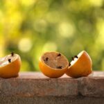 Immagine di ingredienti naturali per profumare la casa: erbe, oli essenziali e candele fai-da-te.